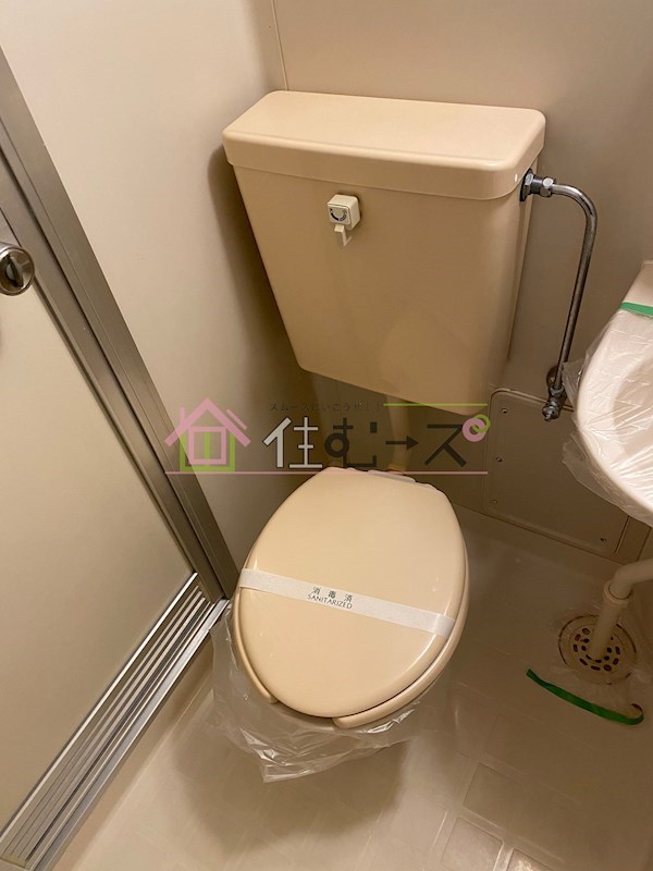 アリーナツムラ その他6