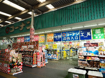 Grand Corp Cattleya 周辺画像10