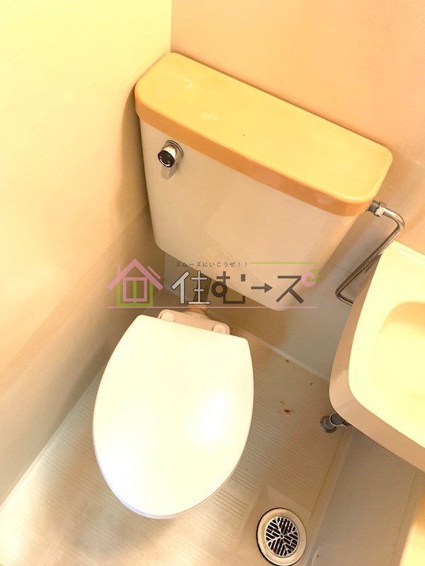 コーニッシュアビコⅡ その他2