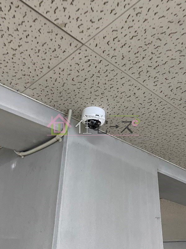 シティハイツ雅 その他外観4