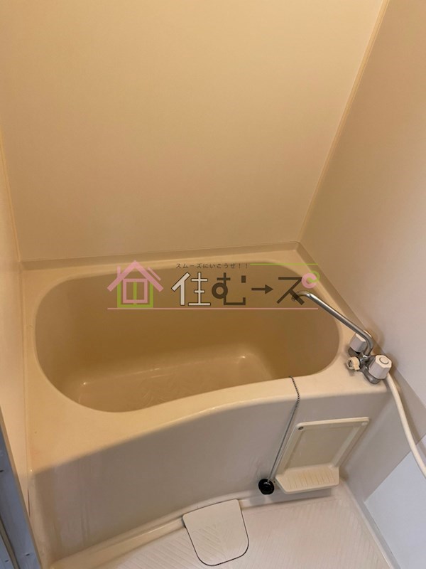 シンセイドルフ 風呂画像