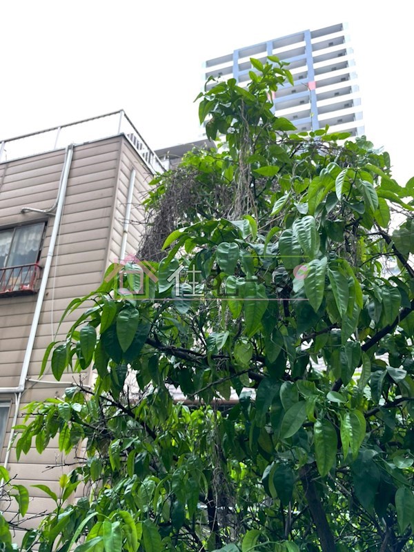 堀江グリーンハイツ その他3