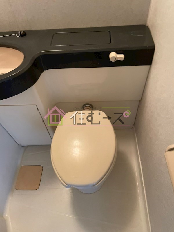 ソレイユ朝潮 その他5