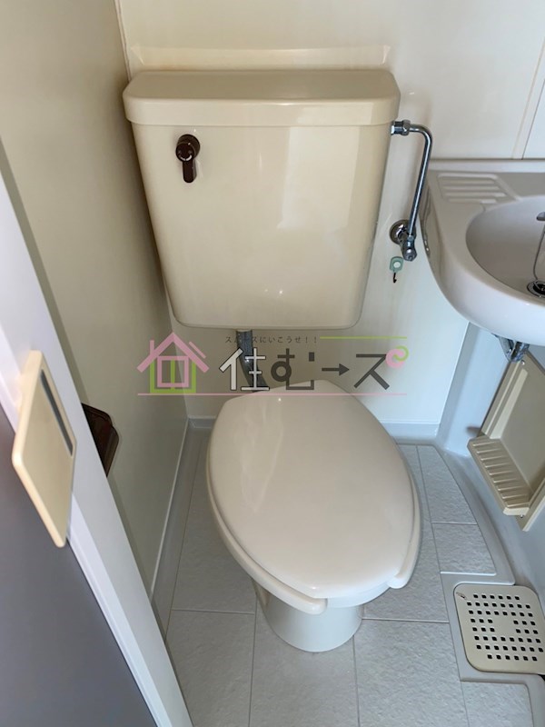 エクセレント上新6 その他4