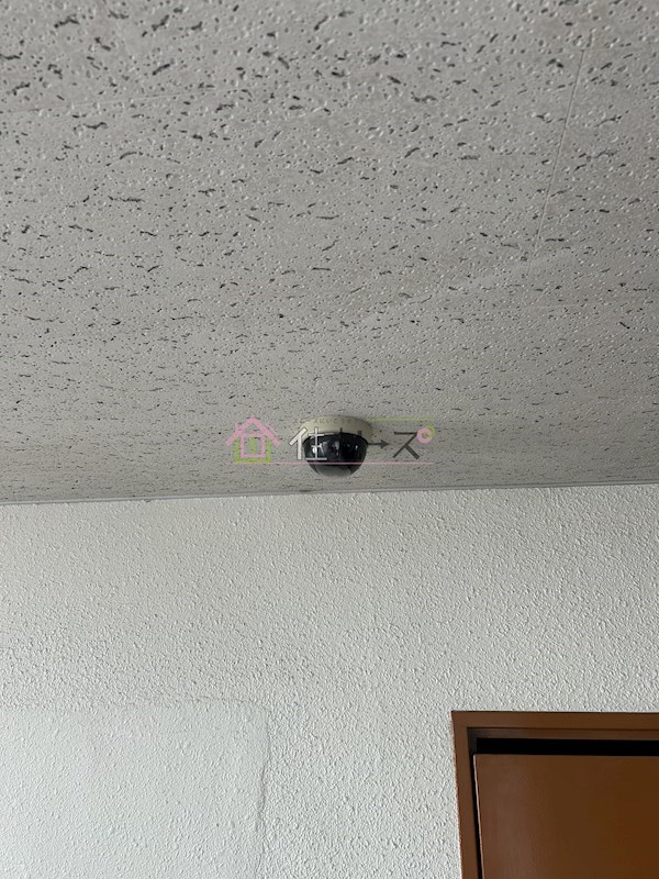 エクセレント上新6 その他外観5