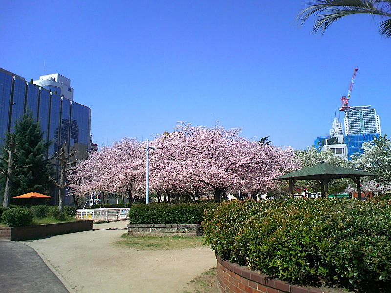 アスヴェル天満橋 周辺画像9