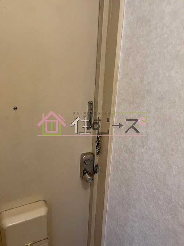 スピインス その他2