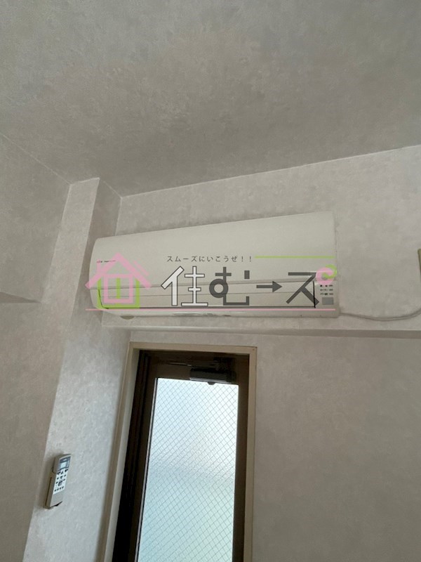 スピインス その他4