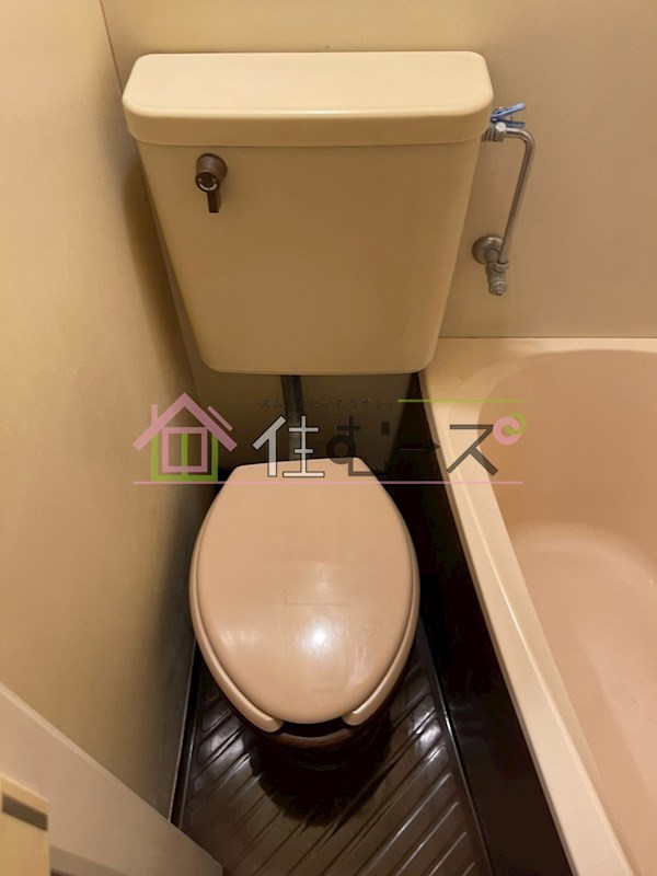 スピインス その他5