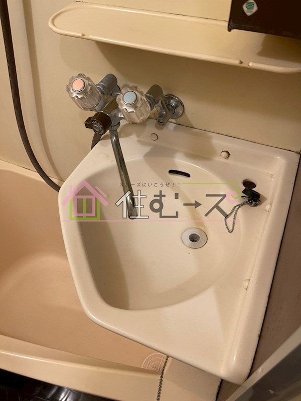 スピインス その他6