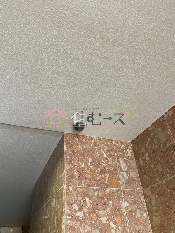 スタークィーン その他外観4