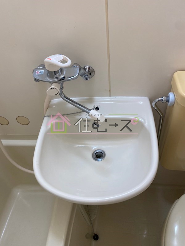 プロヴァンスマユミ その他3