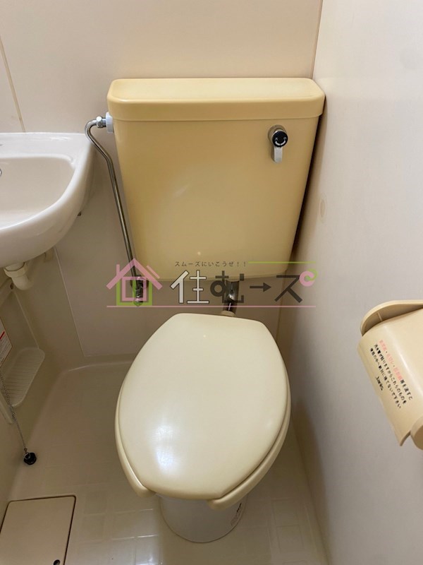 プロヴァンスマユミ その他4