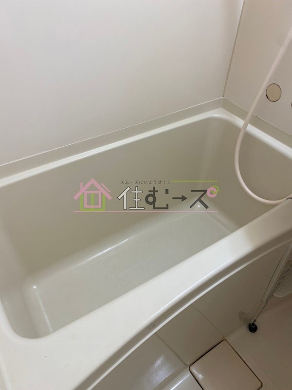 プロヴァンスマユミ 風呂画像