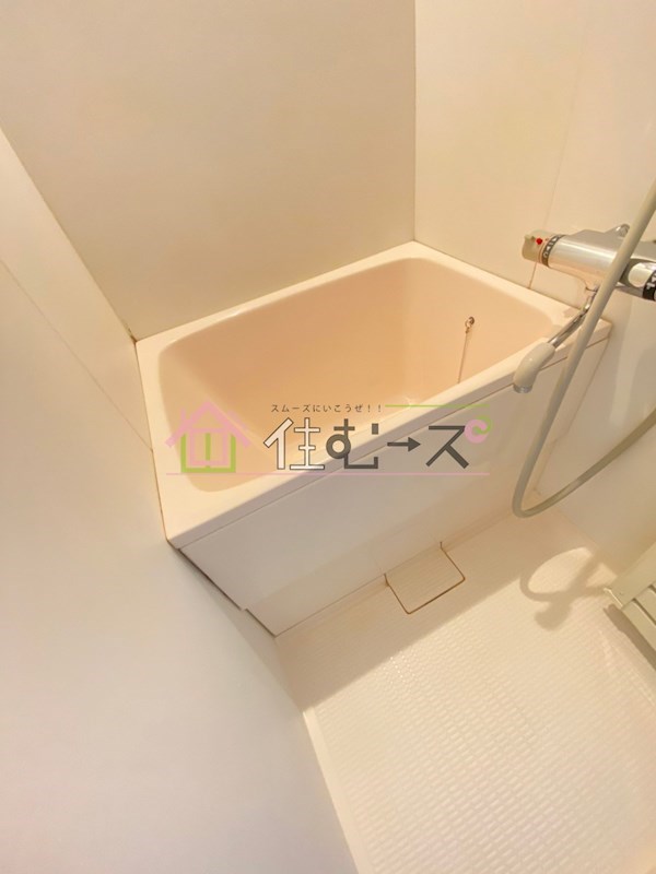 ニューライフ高麗橋 風呂画像