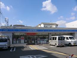 生野ハイツ 周辺画像3