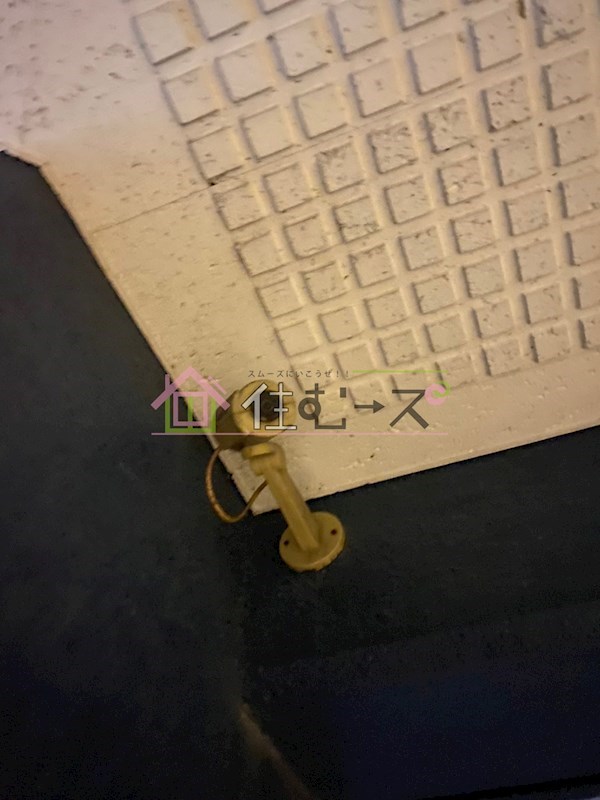 アルピーヌ旭 その他外観4