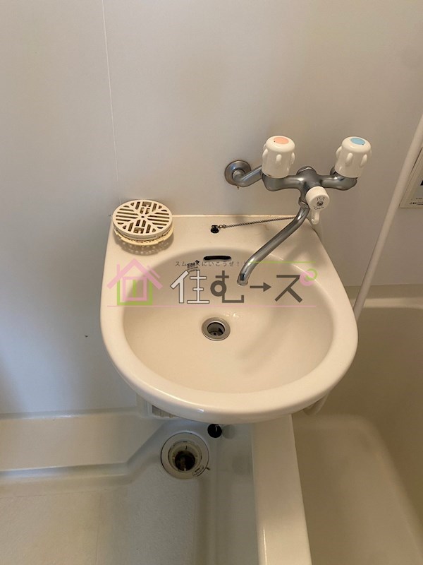 ラパンジール大国4 その他2