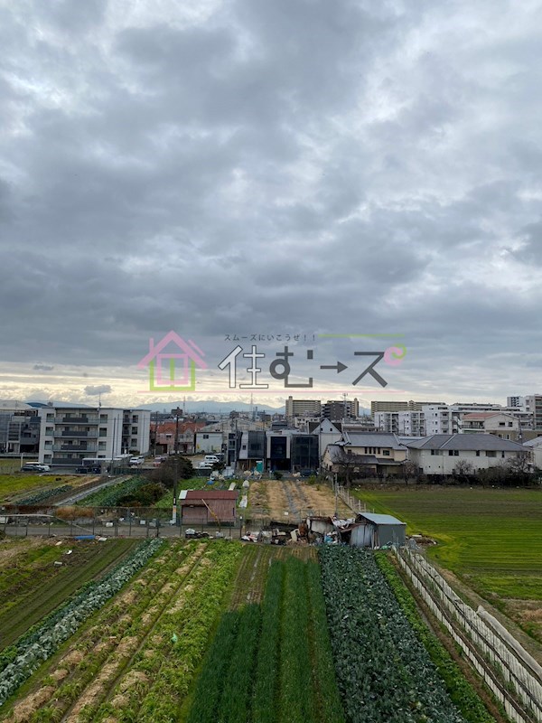 リバティ長居 その他外観6