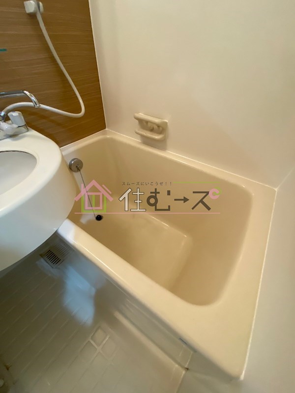 ヤングビレッジ平野  風呂画像