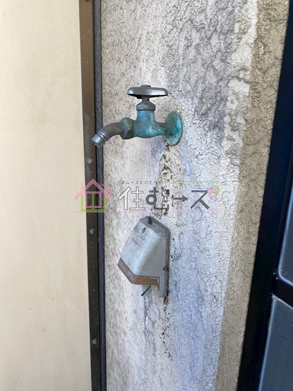 エクセシオール その他3