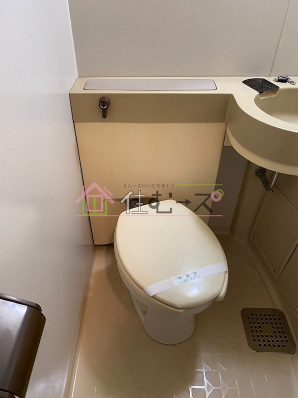 ルネッサンスエレガンス その他3