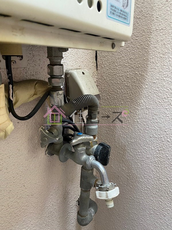 ルネッサンスエレガンス その他4