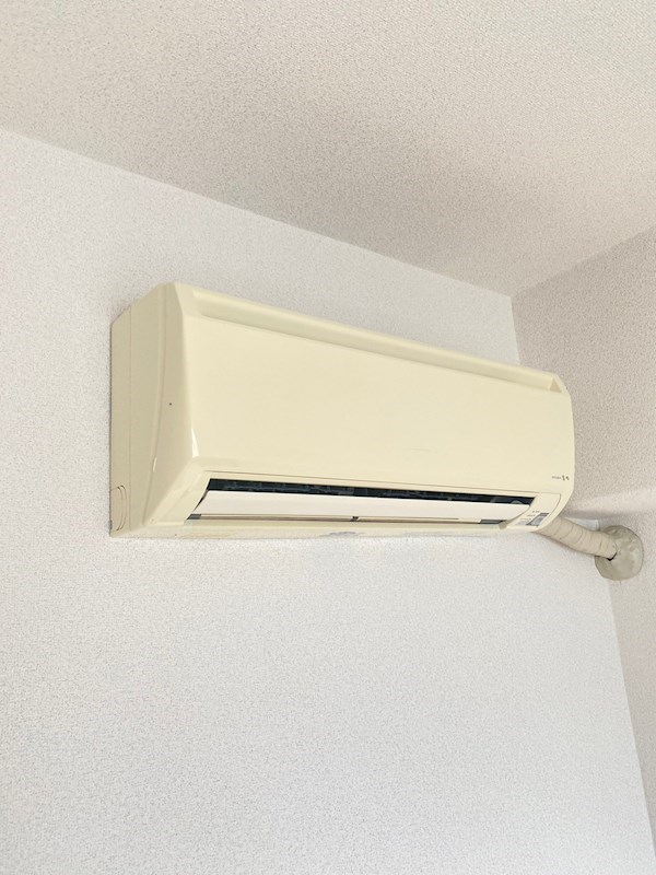 who&amp;#39;s who　AP　さぎす その他3