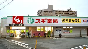 エレガントコーポラス 周辺画像6