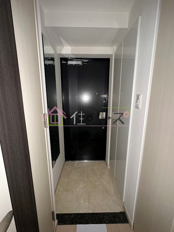 プレサンス難波リバーオアシス 玄関