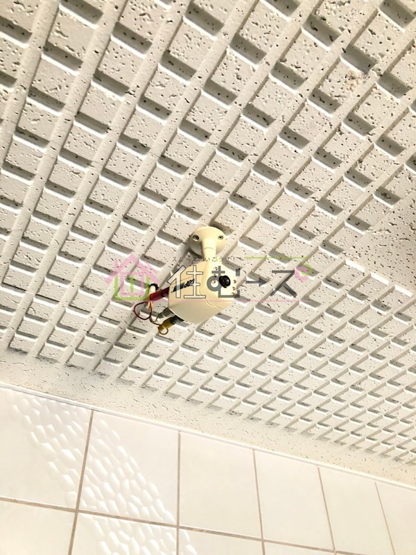 メゾンドール秋桜 その他外観5