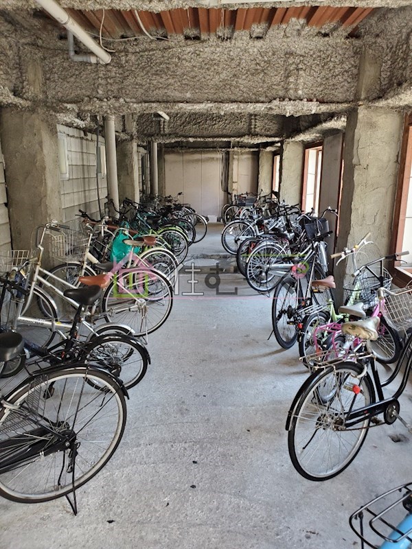 ジオナ本田 その他外観4