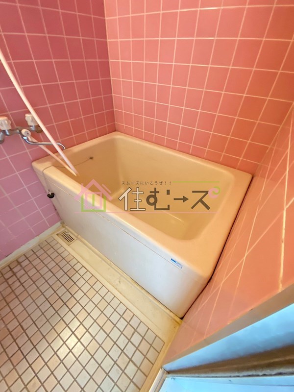 アンヘルム杭全 風呂画像