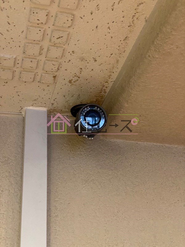 パレスSK その他外観4