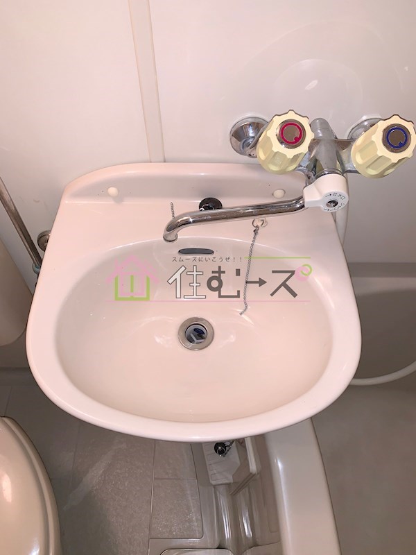 アクエルド大淀 洗面所