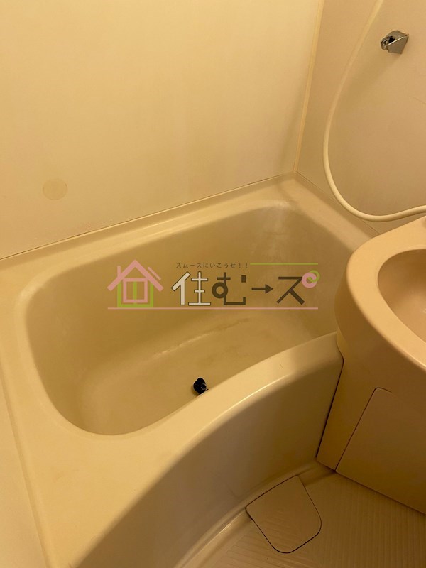 ビクトリーハイムニシミツ 風呂画像