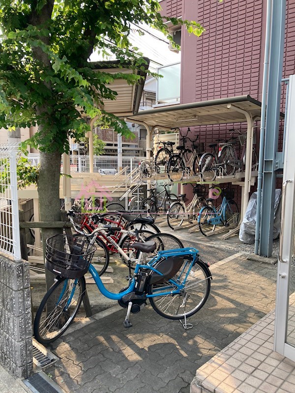 スペランツァ その他