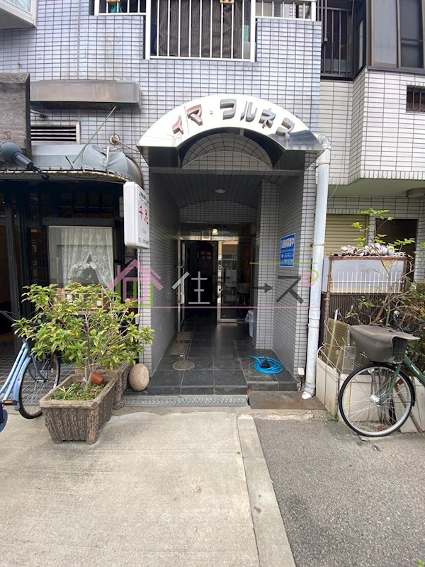 イマ・フルネス その他1