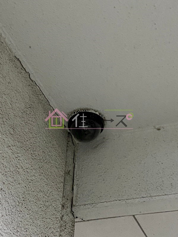 ヘルメスⅡ その他外観5