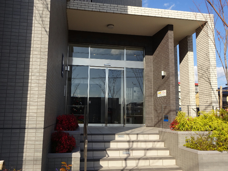 槻（ケヤキ） その他外観1