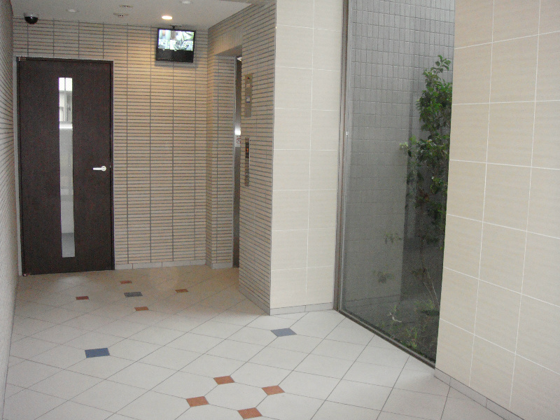 槻（ケヤキ） その他外観2