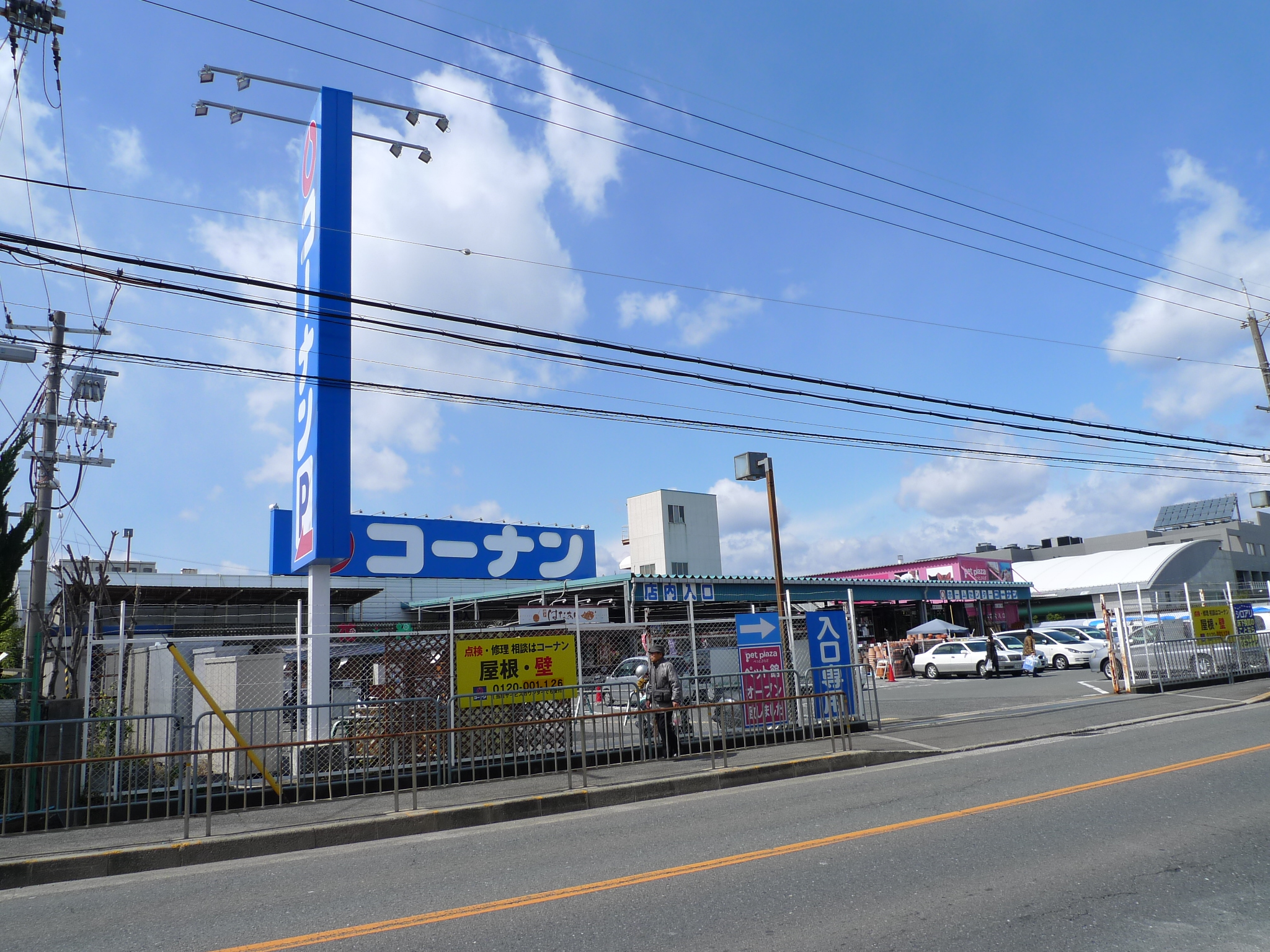 槻（ケヤキ） 周辺画像2