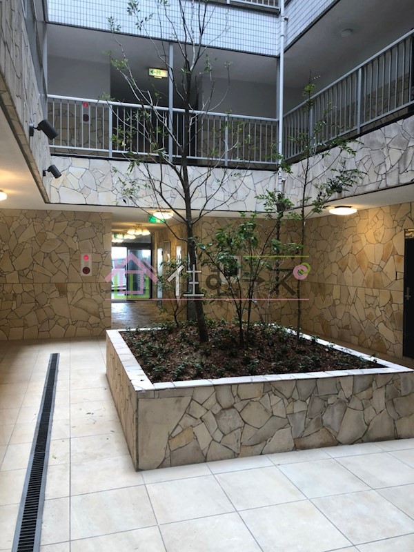 大宝　新深江CTサンコート その他外観2