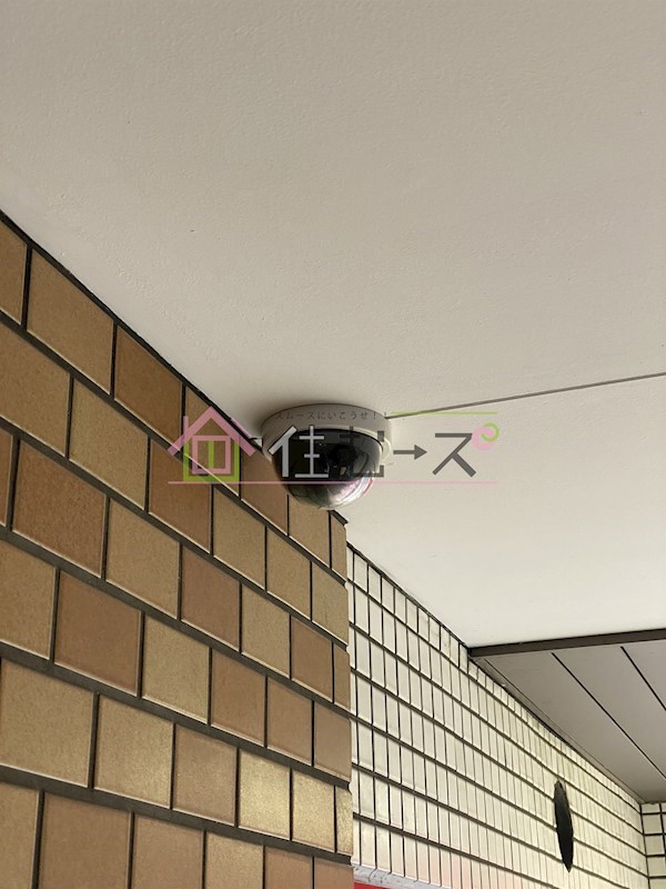 柚樹ハウス その他外観3