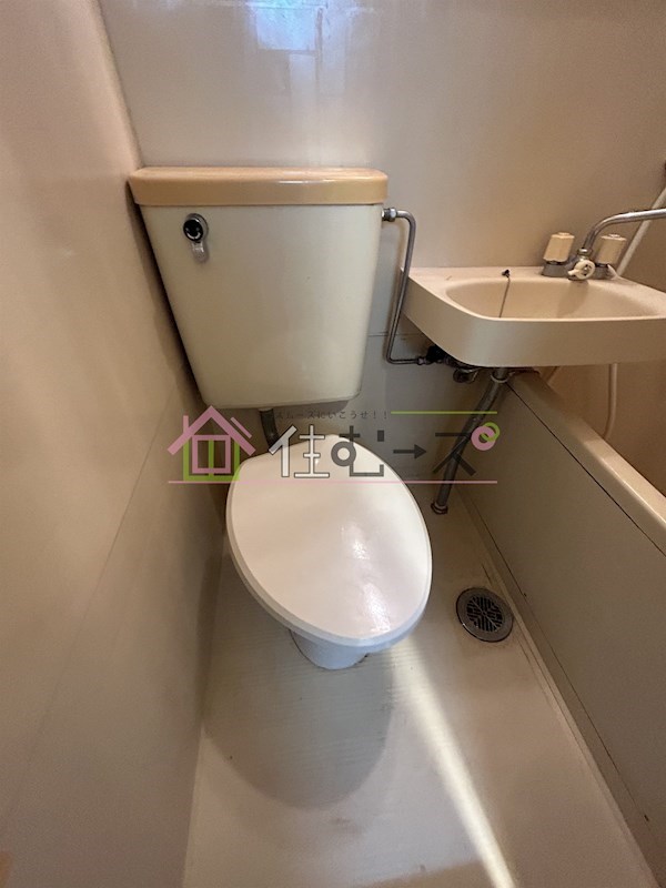 コーニッシュアビコⅠ その他3