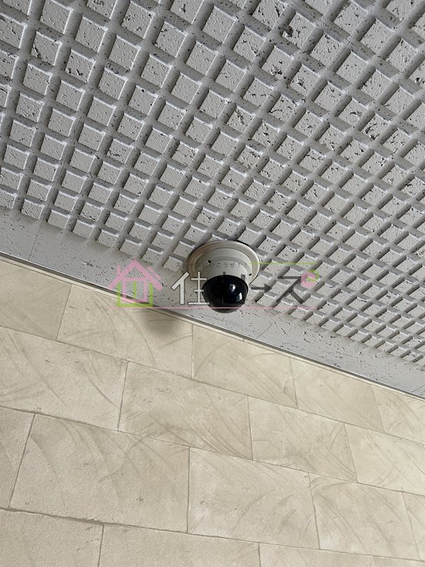 ビーバーハイツ駒川 その他外観2