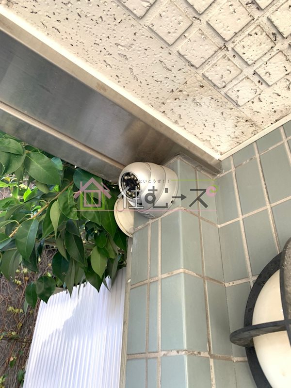 ガナス その他外観5