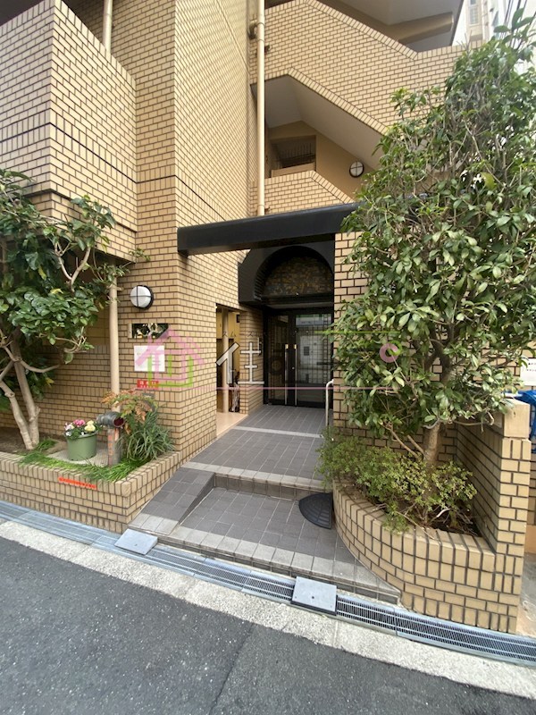 ゆずり葉 その他1