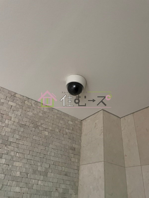 エイペックス京町堀Ⅱ その他外観4