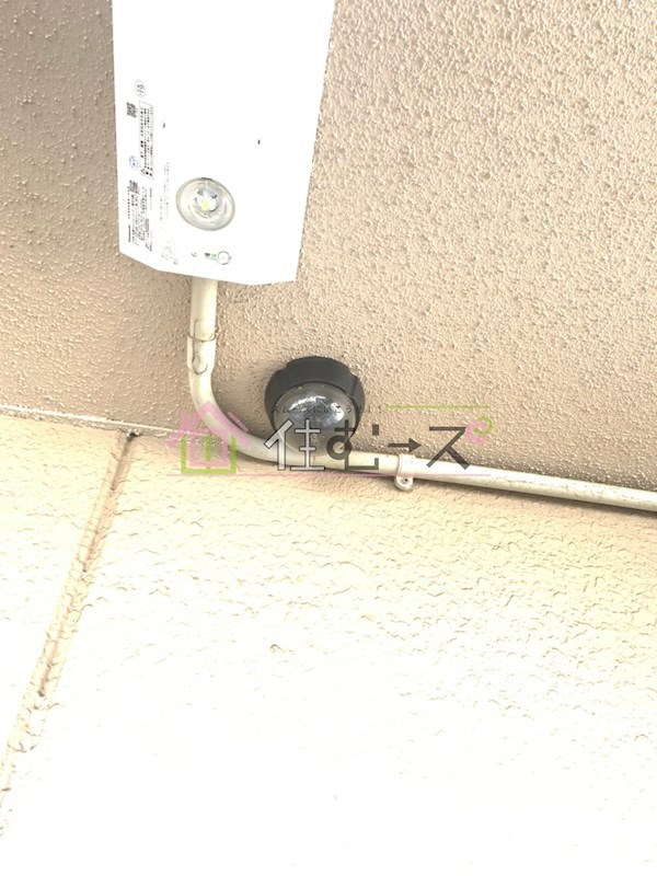 メゾンソフィア その他外観2